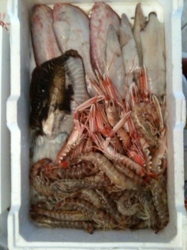 special fish box