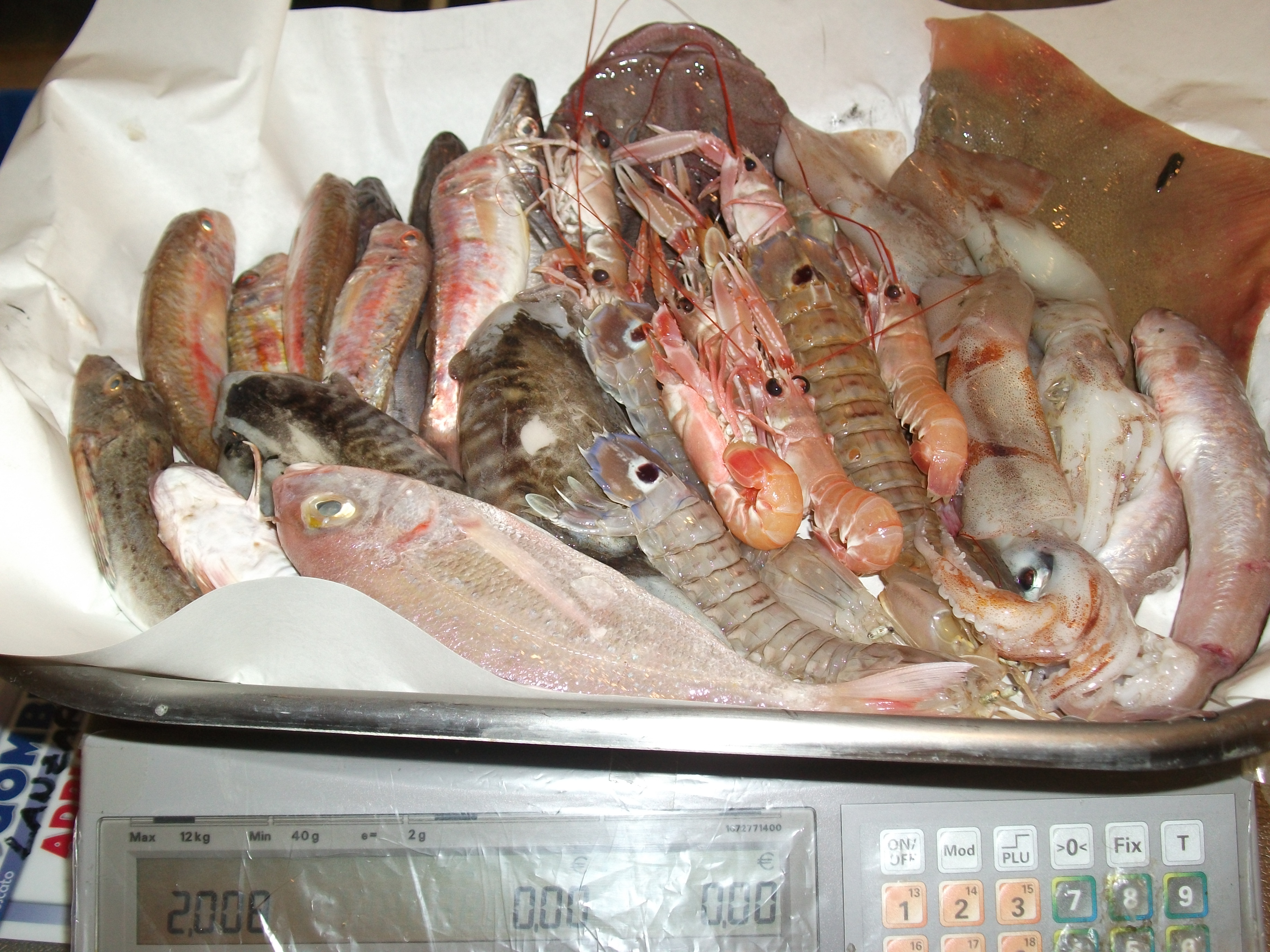 FISHBOX pesce fresco adriatico