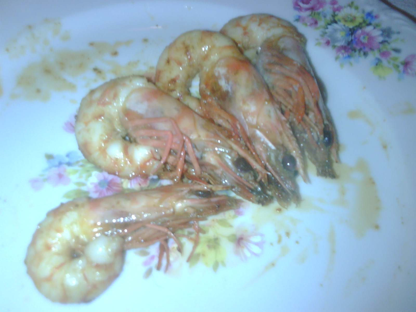 mazzancolle