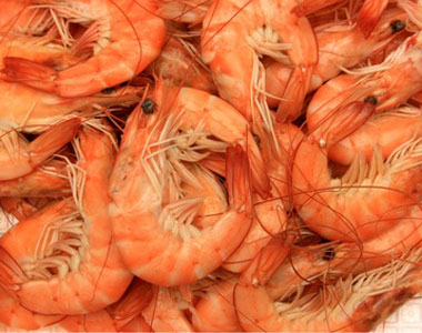 FISHBOX DELUXE MAZZANCOLLE