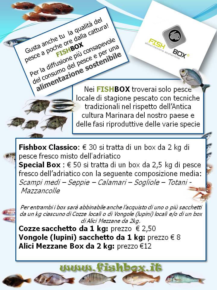 Fish box 5 novembre FISH BOX 5 novembre